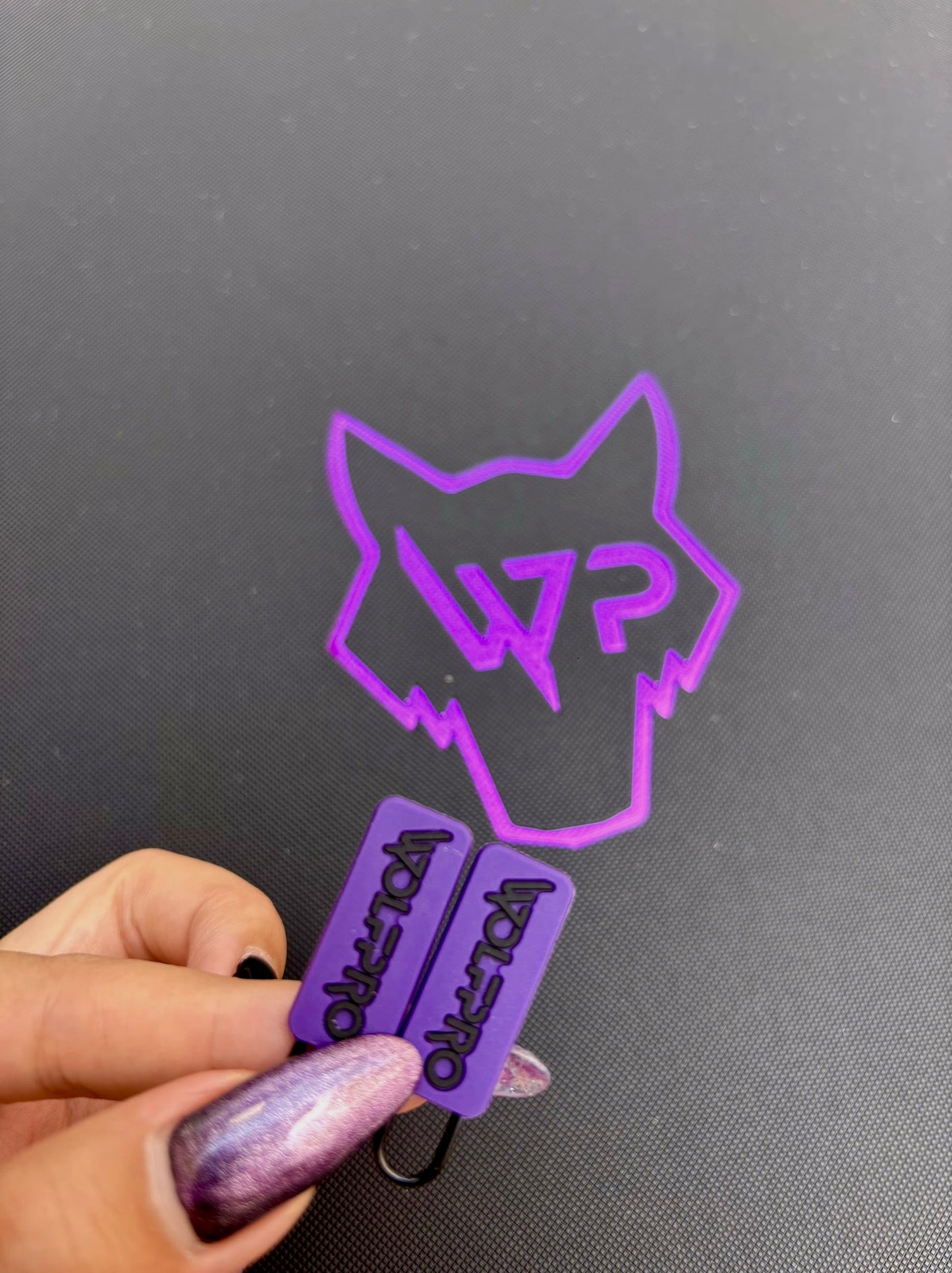 Précommande - BINDER WOLFPROTECT